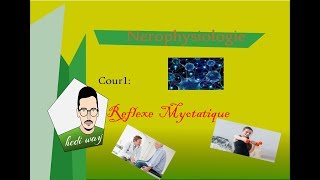 01 Le Reflexe myotatique  Neurophysiologie Bac Tunisie [upl. by Nyloc748]