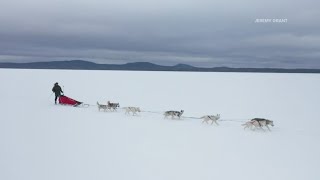 Maine musher prepares for sled dog race across Alaskan wilderness [upl. by Thatcher]