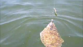 Flounder Fishing Point Lookout MD  July 23 2011 [upl. by Elise148]