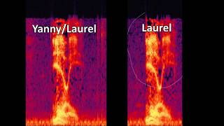 Yanny  Laurel  Removing HighLow Frequencies [upl. by Otsirc]