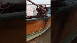 Boat youtubeshorts shortvideo [upl. by Tigram]