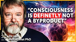 Psychiatrist Dissects Consciousness  Dr lain McGilchrist [upl. by Auric]