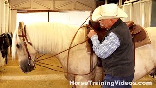 How To Adjust Draw Reins On Your Horse [upl. by Ailem]