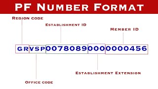 PF Number Format Details  Member ID in PF  Establishment Code  Extension  Region Code [upl. by Pardoes]