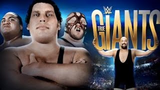 WWE TRUE GIANTS [upl. by Alarise]