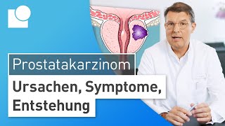 Prostatakarzinom einfach erklärt Entstehung Symptome amp Risikofaktoren  Prostatakrebs [upl. by Asial]