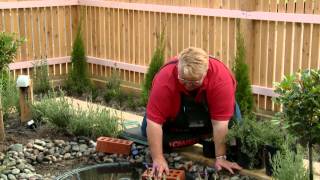 How To Create A Water Garden  DIY At Bunnings [upl. by Griffie]