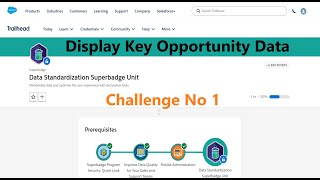 Display Key Opportunity Data Data Standardization Superbadge Unit [upl. by Larcher]