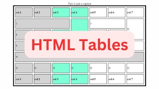 HTML Table Tutorial From Basic to Advanced with Assignment  HTML amp CSS [upl. by Coh]