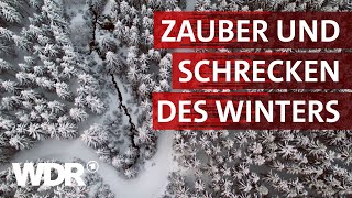 Wenn der Winter kommt  Heimatflimmern  WDR [upl. by Alis527]