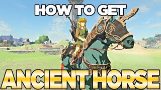 How to Get the Ancient Horse Armor in Breath of the Wild The Champions Ballad  Austin John Plays [upl. by Adnhoj681]