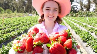 Picking Strawberries [upl. by Dolphin]