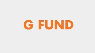 Your TSP Investment Options The G Fund [upl. by Reifel270]