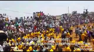 Jallikattu thalaivar senthil thondaman kaalai [upl. by Ianaj189]