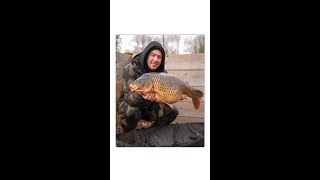 UK CARP Fishing Holiday anyone 🐋 [upl. by Jules599]