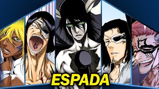 BLEACH The Espada  Complete Analysis [upl. by Suki512]