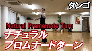 タンゴ：ナチュラルプロムナードターン 社交ダンスと競技ダンス【前掛けTV】Tango Natural Promenede Turn [upl. by Sosthina503]