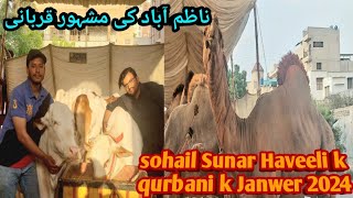 Nazimabad ki Mashoor Qurbani Sohail Sunar Haveeli ky Janwar agaye 2k24❤️❤️ [upl. by Torrance730]