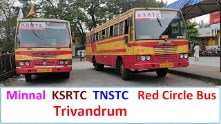 Thiruvananthapuram Bus Stand  KSRTC amp TNSTC  Trivandrum [upl. by Deibel]