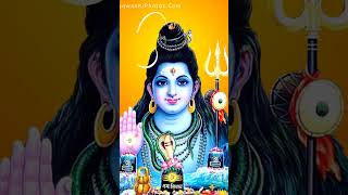 Har Har Mahadev ki jai 🙏🙏🌻🌻🌷🌷 youtube shortvedow hai new [upl. by Ricard427]