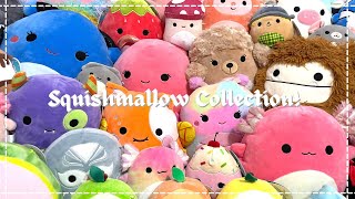 my updated squishmallow collection  july 2021 over 100 squishmallows [upl. by Yim]