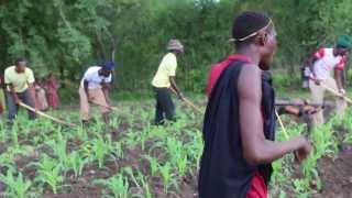 Tanzania Sukuma Bachonga Magembe working in the fields [upl. by Alac353]