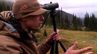 Steven Rinella Wants a Grizzly Bear  MeatEater [upl. by Camm382]