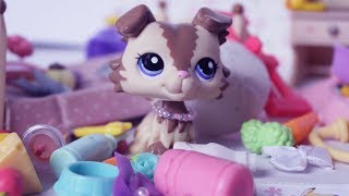 LPS Tidy Your Room Littlest Pet Shop Skit [upl. by Hoeg]