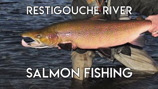 Restigouche River Salmon with Tom Rosenbauer [upl. by Ebsen]