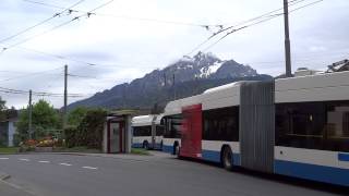 Biregghof VBL trolley buses 209 and 217 [upl. by Lordan]