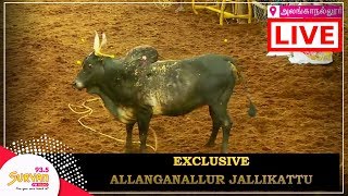 Jallikattu History in Tamil  Suryan Explains [upl. by Canale]