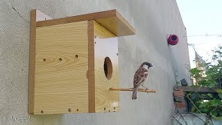 Bird Nest House DIY  Bird House Making At Home [upl. by Nahgrom]