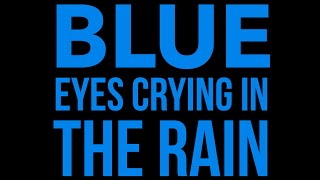 Shania Twain feat Willie Nelson  Blue Eyes Crying In The Rain SongDecor [upl. by Hazem]