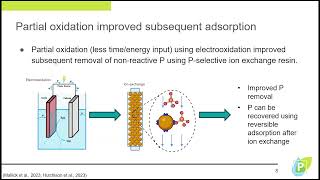 The Challenge of NonReactive Phosphorus Treatment and Recoverability Using Electrooxidation [upl. by Teerprah]