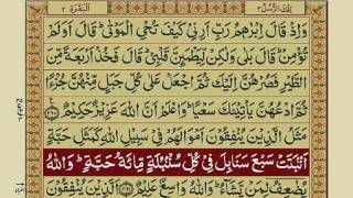 Quran Para 3 with Urdu Translation  Recitation  Mishary Rashid Alafasy [upl. by Clement]