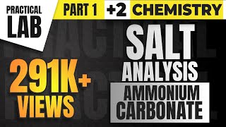 Plus Two  Chemistry Practicals  Salt Analysis of Ammonium Carbonate  Malayalam [upl. by Trutko]