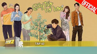 Cây Táo Nở Hoa  Tập 43  Phim gia đình Việt 2021 [upl. by Bible]