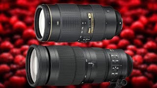 Nikon 200500mm vs Nikon 80400mm  Which Lens Do I Like Better amp Why D610 D5500 [upl. by Airotkiv141]