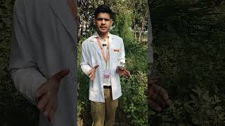 Ayurvedic Medicinal Plant Vlog 3 Skin Disease Treatment ayurveda ayurvedicmedicine youtubeshorts [upl. by Gordie]