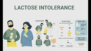 Lactose Intolerance  Definition Causes Types Symptoms Diagnosis Treatment [upl. by Doble132]