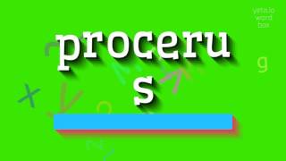 HOW TO SAY PROCERUS procerus [upl. by Saxet]