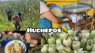 HUCHEPOSTamales de elote 🌽 RECETA DE ARANZA MICHOACAN🌽✨ [upl. by Eva]