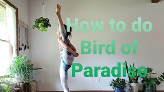 How to do Bird of Paradise Pose in Yoga [upl. by Hasin]