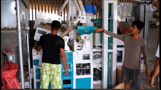 Best Combined Rice Mill Mini Rice mill Installed in Philippine 1 TPH [upl. by Aerahs120]