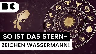 Wassermann Diese Eigenschaften zeichnen das Sternzeichen aus [upl. by Leighton]