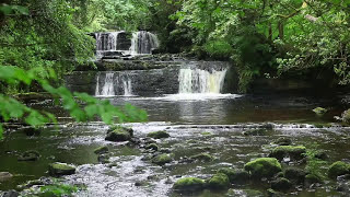 Forest Waterfall Nature Sounds for Sleeping  Relaxing Water Flowing Sound Mindfulness Meditation [upl. by Gottlieb]