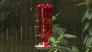 How to Fill Hummingbird Feeder  Ace Hardware [upl. by Hacker63]