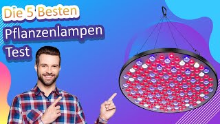 Die 5 Besten Pflanzenlampen Test [upl. by Leak]