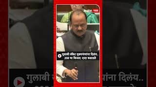 Ajit Pawar On Opposition  गुलाबी जॅकेट आज मुख्यमंत्र्यांना दिलंय208 चा किस्सा दादा कडाडले [upl. by Noskcire]