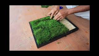 Flat Moss Installation [upl. by Conn]